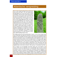 Mythische Stenen Deel 11: Bretagne